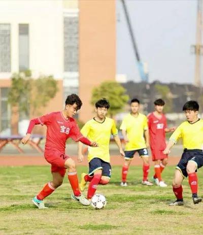  AC米兰青训营爆发疫情，梯队赛事全面暂停